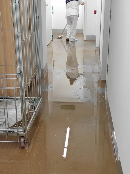 Limpiador, limpieza hospitalaria, limpiador con fregona y piso del pasillo de limpieza uniforme, piso de limpieza con fregona en la habitación del paciente, limpieza del piso del hospital — Foto de Stock