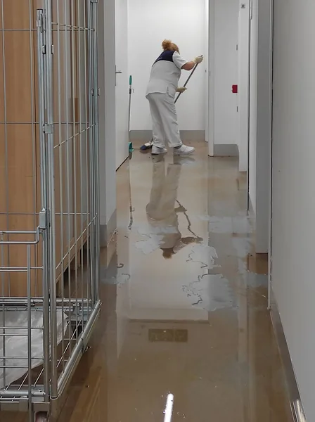 Limpiador, limpieza hospitalaria, limpiador con fregona y piso del pasillo de limpieza uniforme, piso de limpieza con fregona en la habitación del paciente, limpieza del piso del hospital — Foto de Stock