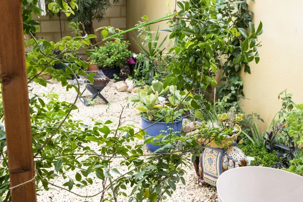 İran yarımadasının doğu kısmının tipik bahçesi, Akdeniz bahçesi..