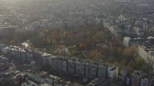 Antwerp Belgium Aerial V19 Birdseye View Flying Stadspark Sunset November — Stock Video