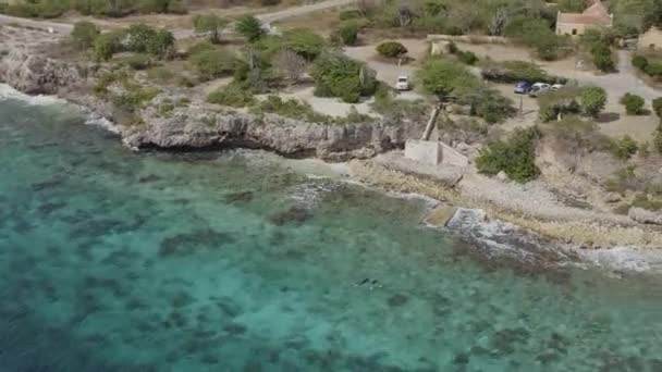 Bonaire Caribbean Netherlands Aerial V36 Panning Snorkelers Karpata Gennaio 2019 — Video Stock