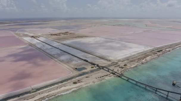 Bonaire แคร บเบ เนเธอร แลนด V37 ายข นและห างจาก Cargill — วีดีโอสต็อก