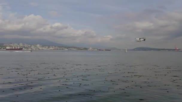 Vancouver Canada Aerial Panning Bajo Sobre Agua Llena Algas Con — Vídeos de Stock