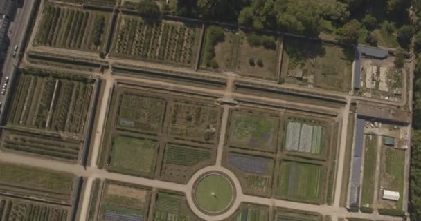 Paris France Aerial V85 Vertical Detail Kings Kitchen Gardens Surrounding — Stock Video