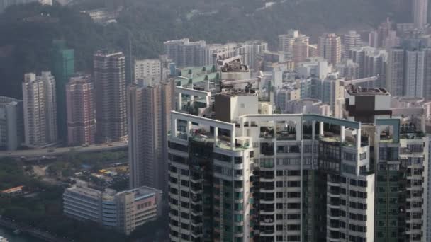 Hong Kong Aerial V135 Vue Rapprochée Des Oiseaux Volant Basse — Video