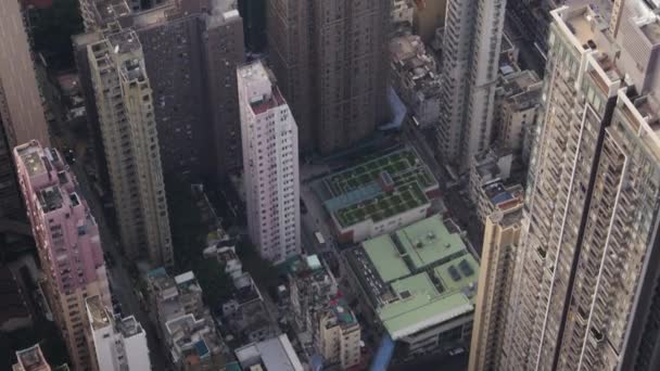 Hong Kong Aerial V221 Vue Rapprochée Des Oiseaux Survolant Région — Video