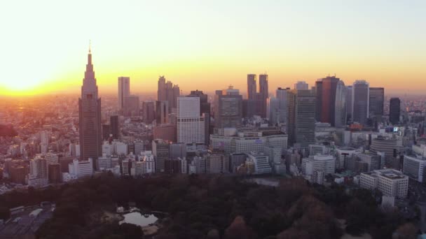 東京日本航空V13新宿御苑上空を街並を眺めながら飛ぶ夕日 2月2017 — ストック動画