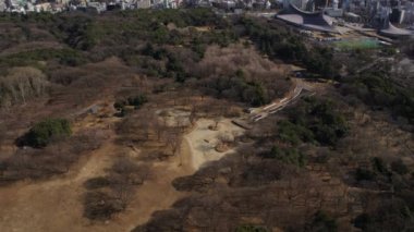 Tokyo Japon Hava V96 Yoyogi parkının üzerinde alçaktan uçuyor şehir manzarasına bakıyor - Şubat 2017