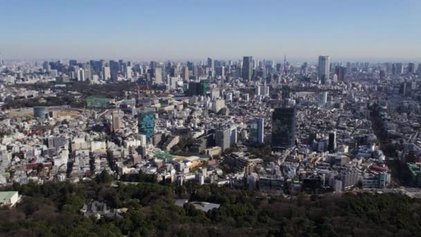 Tokio Japan Aerial Fliegen Über Den Yoyogi Park Schwenken Mit — Stockvideo