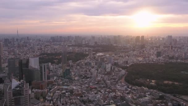 Tokio Japan Aerial V32 Fliegen Über Der Innenstadt Von Shinjuku — Stockvideo