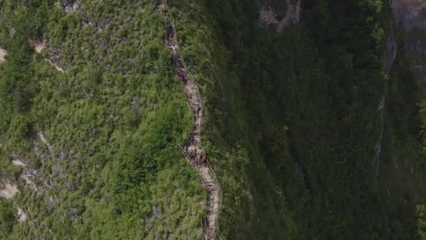 Bali Indonesia Aerial V14 Při Pohledu Dolů Sledování Stezky Turistů — Stock video