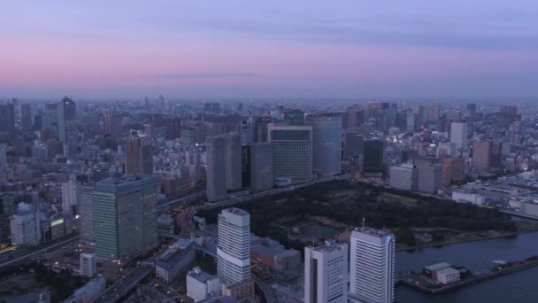 Tokyo Japan Aerial V44 Volare Sopra Porto Panning Crepuscolo Con — Video Stock
