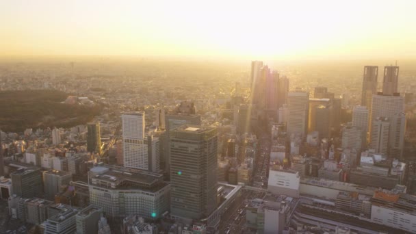 Τόκιο Ιαπωνία Aerial V11 Flying Shinjuku Panning Cityscape Views Sunset — Αρχείο Βίντεο