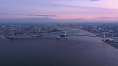 Tokyo Japon Hava Yolları v139 Limanın üzerinde uçuyor alacakaranlıkta şehir manzarası sanayi manzarası ile birlikte - Şubat 2017
