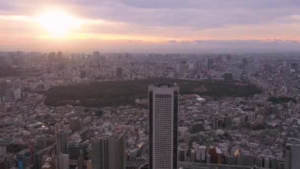 Tokyo Japan Aerial V114 Volare Sull Area Shinjuku Con Vista — Video Stock