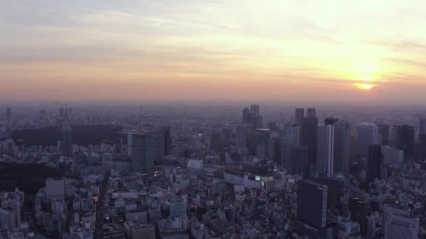 東京日本航空V157便が新宿エリアを横断し 街並を眺めながら夕日を眺める 2017年2月 — ストック動画