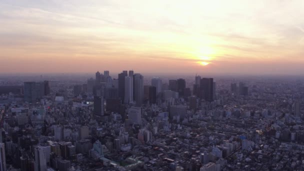 東京日本航空V156新宿エリアを横断し ダウンタウンの街並みを眺めながら夕日を眺める 2017年2月 — ストック動画