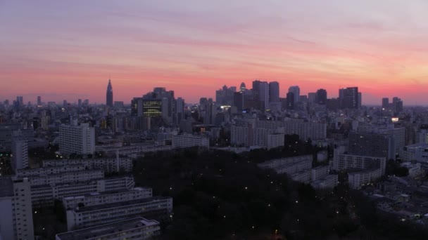 東京日本航空V162新宿エリア上空を低空飛行街並が夕暮れ 2017年2月 — ストック動画