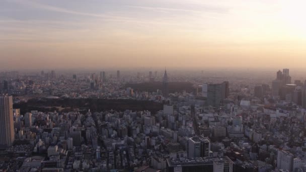 東京日本航空V153便が新宿エリアを横断しダウンタウンの街並みを眺めながら夕日を眺める 2017年2月 — ストック動画