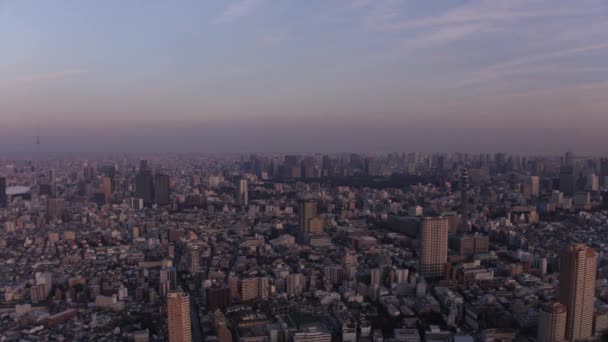 東京日本航空V155新宿エリアを飛んで街並を眺めながら日没から2017年2月 — ストック動画