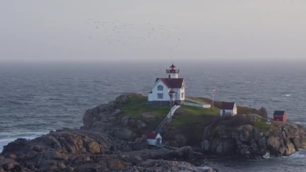 York Maine Aerial V76 Panning View Nubble Lighthouse Seagulls Gondola — Wideo stockowe