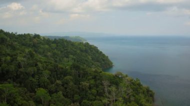 Kosta Rika Havayolları v14 Büyük okyanus körfezi ve orman ormanları üzerinde alçaktan uçuyor - Şubat 2016