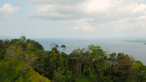 Costa Rica Aerial V16 Flying Low Dense Jungle Forests Large — Stock Video