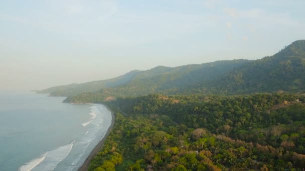 Kosta Rika Havayolları V10 Sahil Şeridi Üzerinde Uçuyor Orman Tepelerine — Stok video