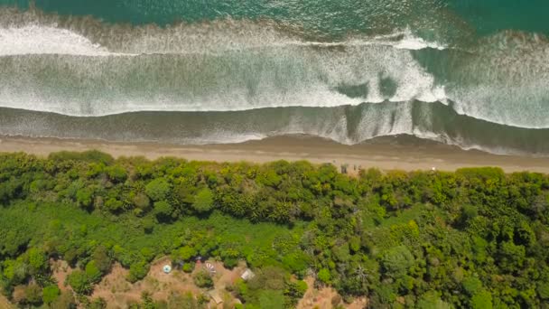 Kostaryka Aerial Pionowe Ujęcie Widokiem Dżunglę Plażę Ocean Luty 2016 — Wideo stockowe