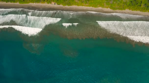 Costa Rica Aerial Vertical Shot Looking Panning Ocean Beach Jungle — Stock Video