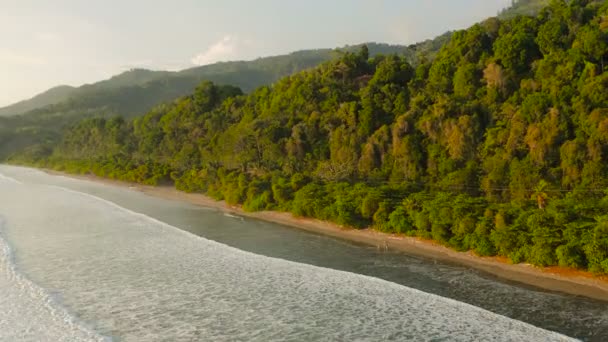 Costa Rica Aerial Flying Low Ocean Waves Beach Panning Jungle — Video Stock