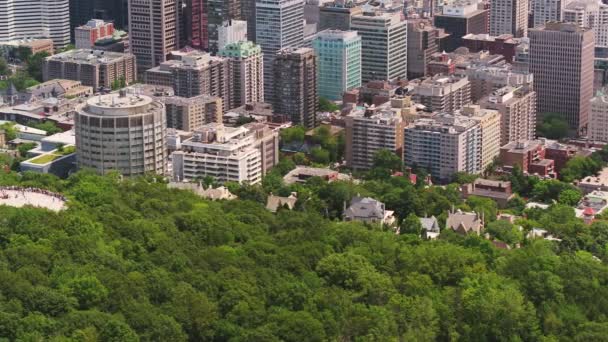 Montreal Quebec Aerial V49 Birdseye Leaves Mount Royal Park Center — стокове відео
