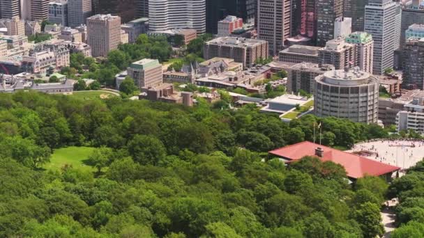 Montreal Quebec Aerial V119 Birdseye Flying Mount Royal Park Downtown — Stock Video
