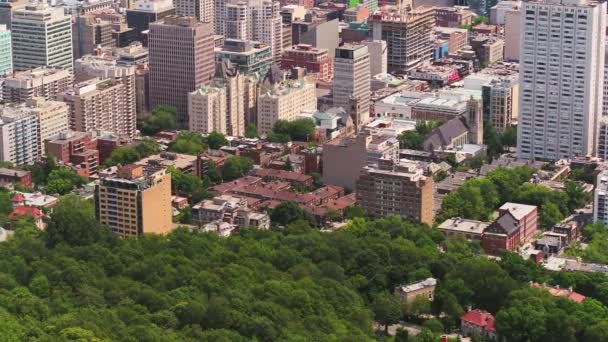 Montreal Quebec Aerial V118 Birdseye Flying Mount Royal Park Downtown — Stock Video