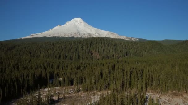 Hood Aerial V14 Tiefflieger Über Bewaldetem Gebiet Mit Vollem Bergblick — Stockvideo