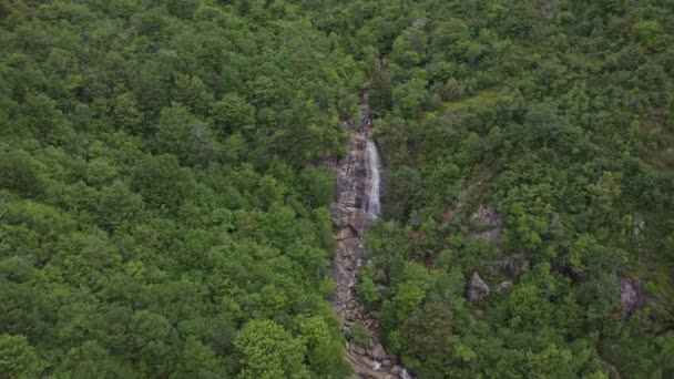 North Carolina Mountains Aerial V13 Approaching Survolant East Forks Upper — Video