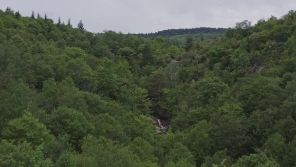 Caroline Nord V11 Vue Aérienne Sur East Forks Upper Falls — Video