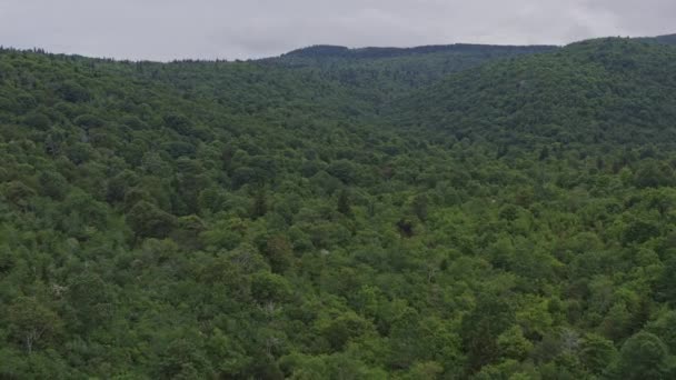 ノースカロライナ山脈航空V10東フォークの上をゆっくりと飛ぶアッパーフォール森林地帯 7月2019 — ストック動画