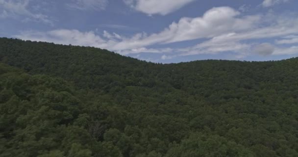 North Carolina Mountains Aerial Voar Através Mergulhando Baixo Para Árvore — Vídeo de Stock