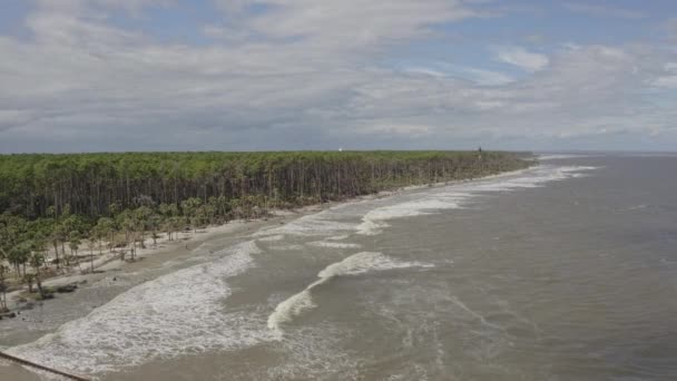 Carolina Del Sur Aerial Dos Segmentos Paisajes Oceánicos Con Personas — Vídeos de Stock