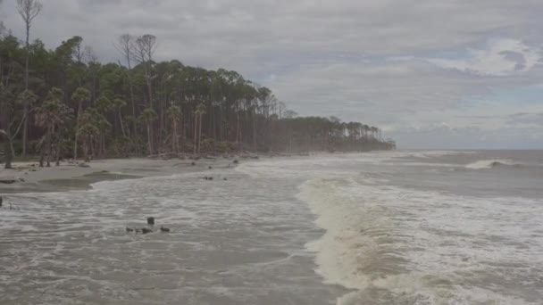 Carolina Del Sur Aerial Escénico Primer Plano Playa Con Gente — Vídeos de Stock