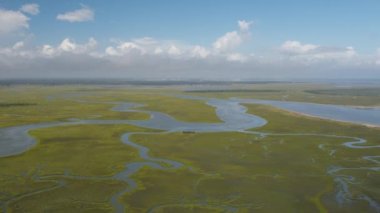 Charleston Güney Carolina Folly Beach Havacılık v48 Folly Beach sulak arazisi üzerinde alçaktan uçuyor - Ekim 2017