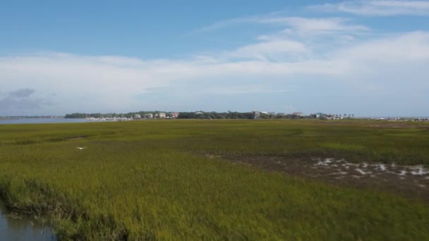 Charleston South Carolina Folly Beach Aerial V59 Létání Nízko Nad — Stock video