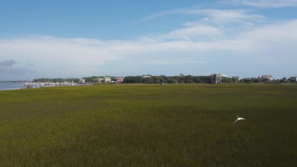 Charleston South Carolina Folly Beach Aerial V60 Volando Bajo Sobre — Vídeos de Stock