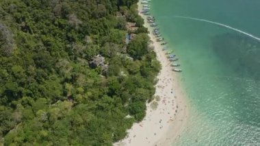 Krabi Tayland Havacılık V18 Birdseye dikey görüntüsü Phra Nang Sahili üzerinde uçuyor - Ocak 2020