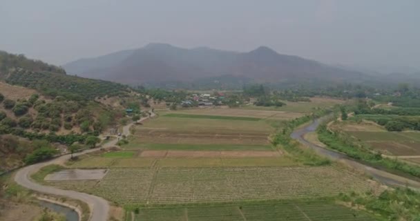 Thung Thailand Flygfoto Flying Låg Över Jordbruksmark Jordbruksgrödor Mars 2018 — Stockvideo