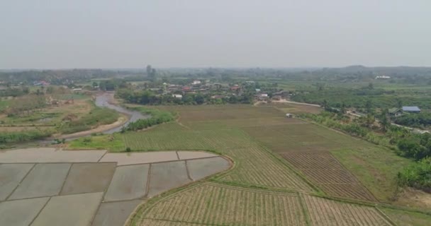 Thung Thailand Aerial V11 Vista Panorámica Los Cultivos Agrícolas Marzo — Vídeos de Stock