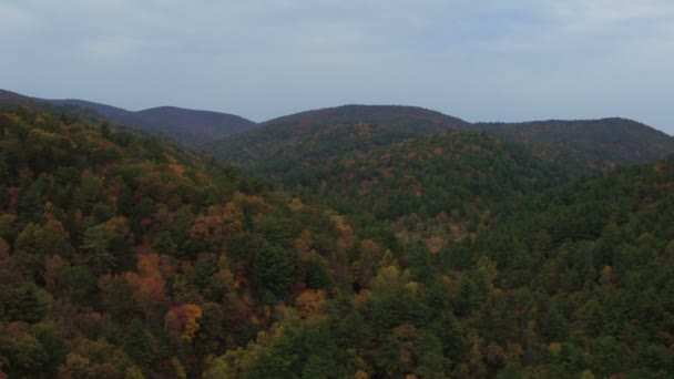 2016年11月 美国郊区空中V8低空飞越秋季起伏的山丘 在海伦Ga附近喘息 — 图库视频影像