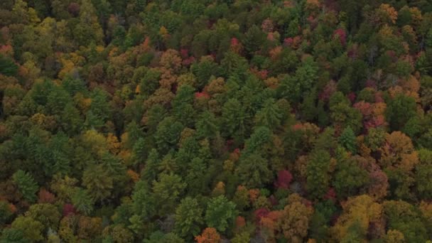 Самолет Countryside Aerial V10 Низко Пролетел Над Осенними Склонами Горы — стоковое видео