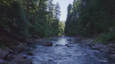 Washington Havayolları V2, nehrin üzerinde alçaktan uçuyor. İnsanlarla temizliğe doğru ilerliyor. Temmuz 2019